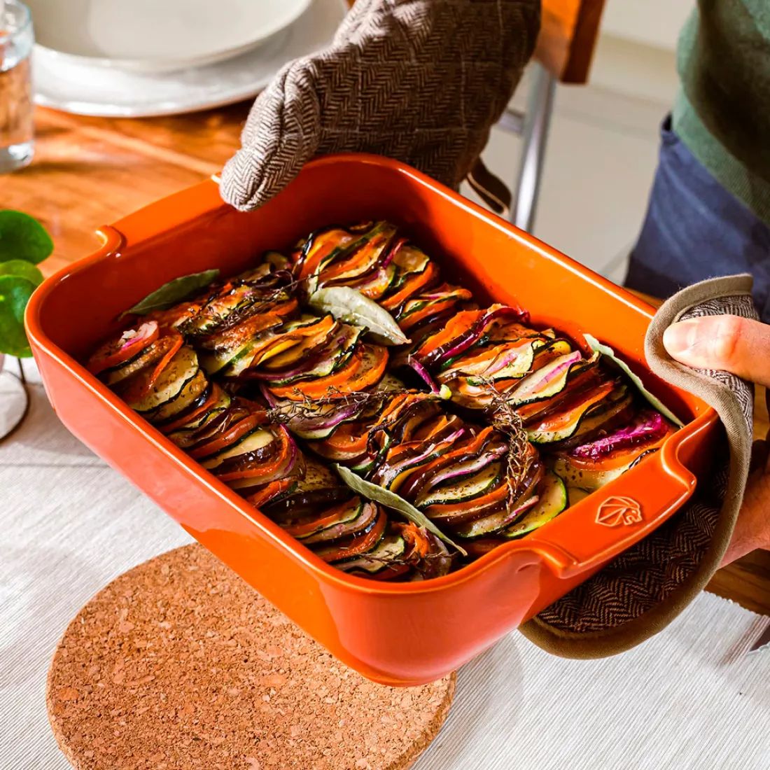 Форма для запекания Peugeot Terracotta 61074