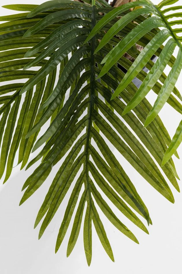 Искусственное растение KARE Deko Pflanze Palm Tree 51789