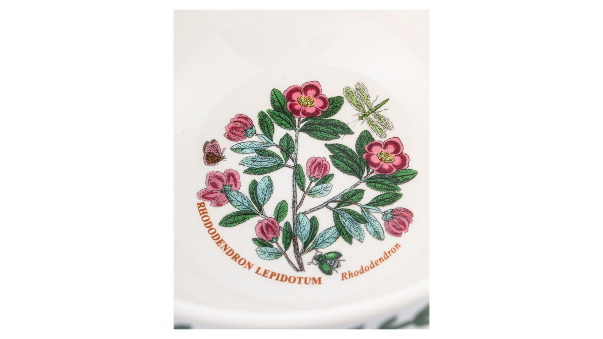 Салатник Portmeirion Botanic Garden Rhododendron BG78806-1