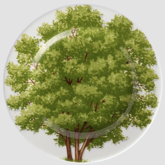 Тарелка десертная Taitù Freedom Piattino 1-83-C