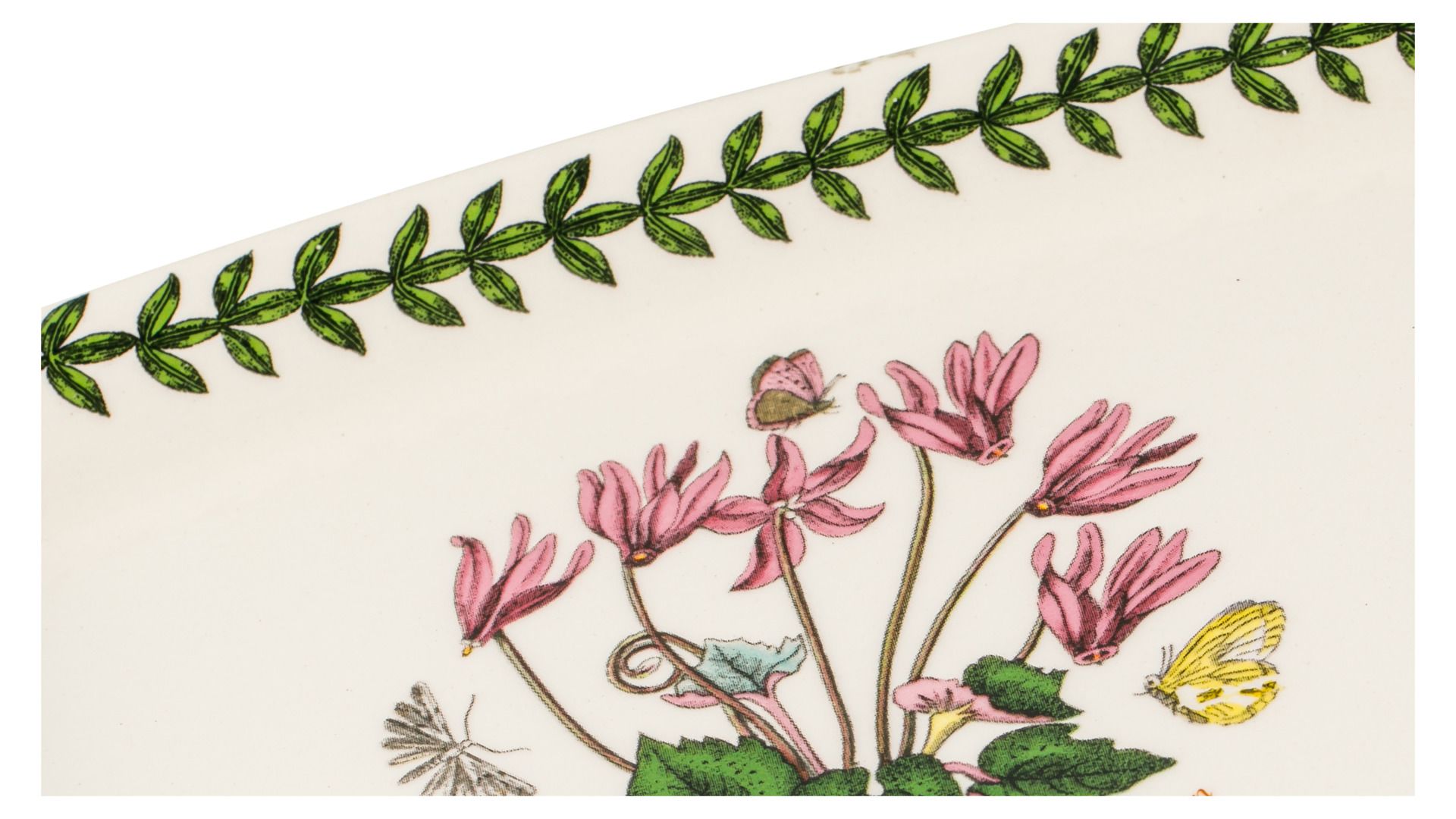 Масленка Portmeirion Botanic Garden BG52700