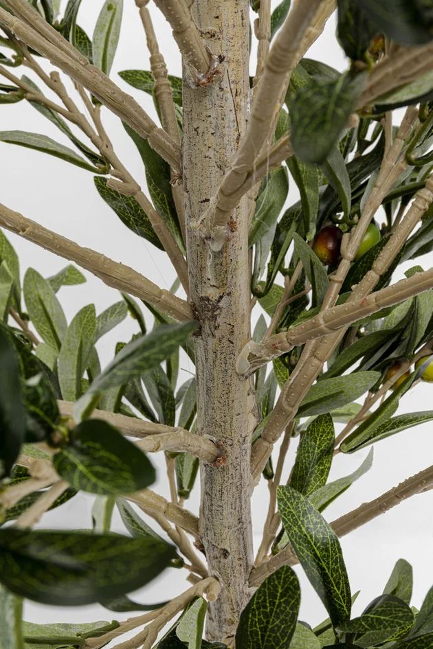 Искусственное растение KARE Deko Pflanze Olive Tree 54933
