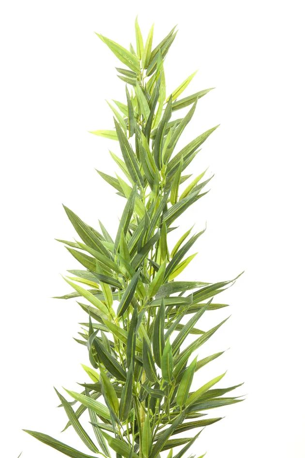 Искусственное растение KARE Deko Pflanze Bamboo Tree 64002