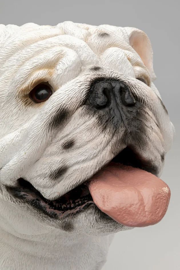 Фигурка KARE Deko Figur Dog Troy 56980