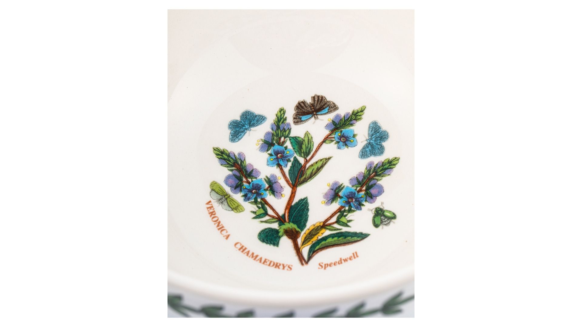 Салатник Portmeirion Botanic Garden Speedwell BG78806-6