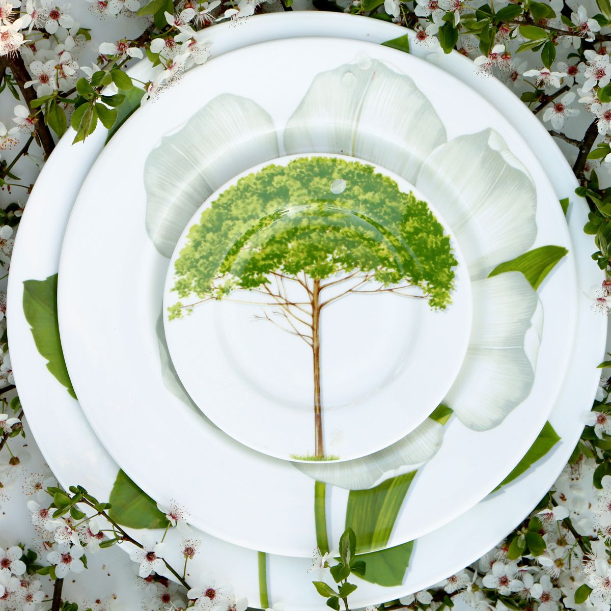 Тарелка десертная Taitù Freedom Piattino 1-83-A