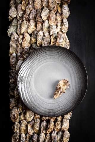 Тарелка обеденная Revol Swell Black 653520