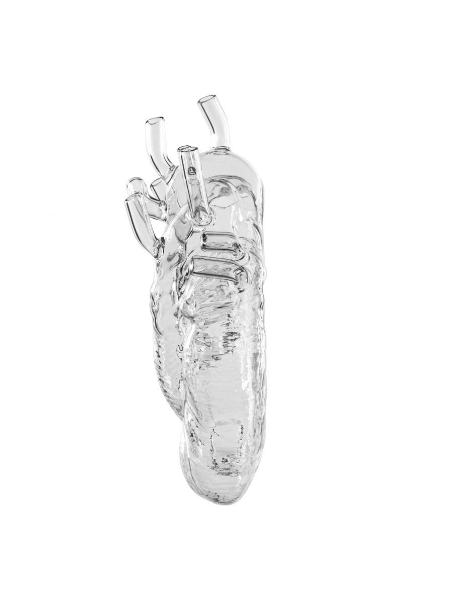 Ваза Seletti Love in Bloom Glass 09922