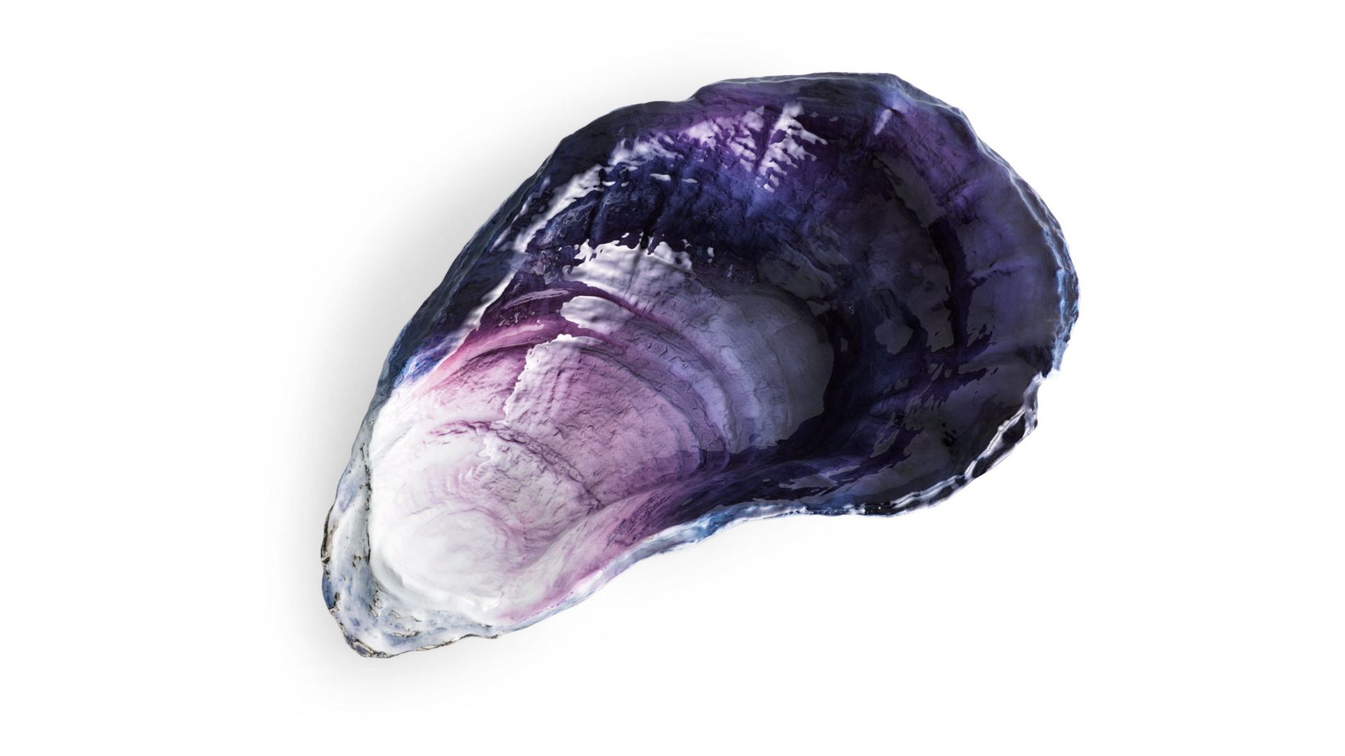 Чаша Michael Aram Ocean Reef 175442