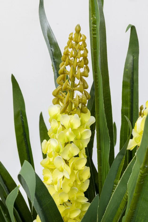 Искусственное растение KARE Deko Pflanze Rhynchostylis 55913