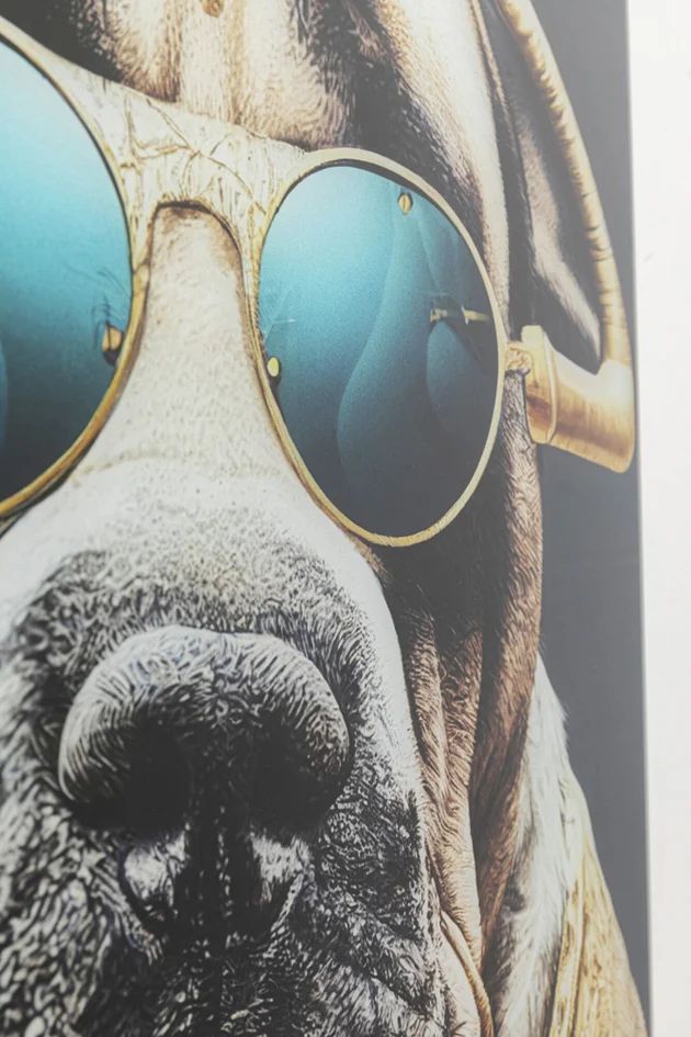 Картина KARE Glasbild Fashion Dog 57008