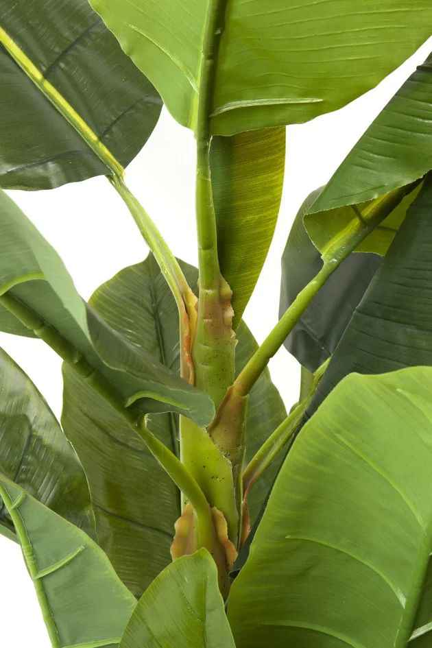 Искусственное растение KARE Deko Pflanze Banana Tree 64003