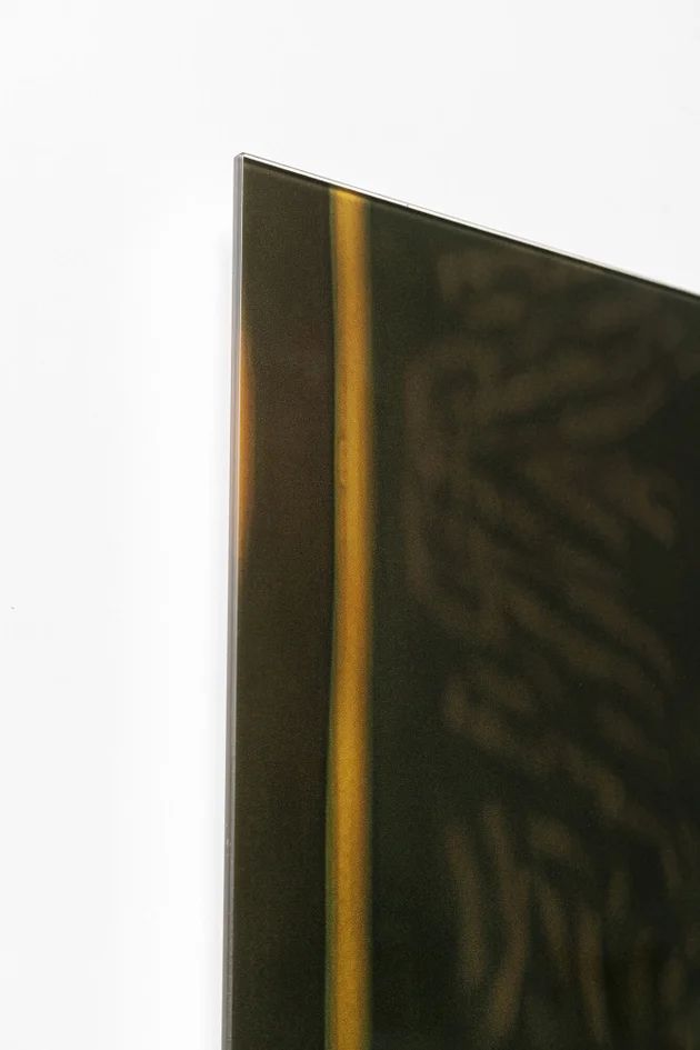 Картина KARE Glasbild Drinking Monkey 56267