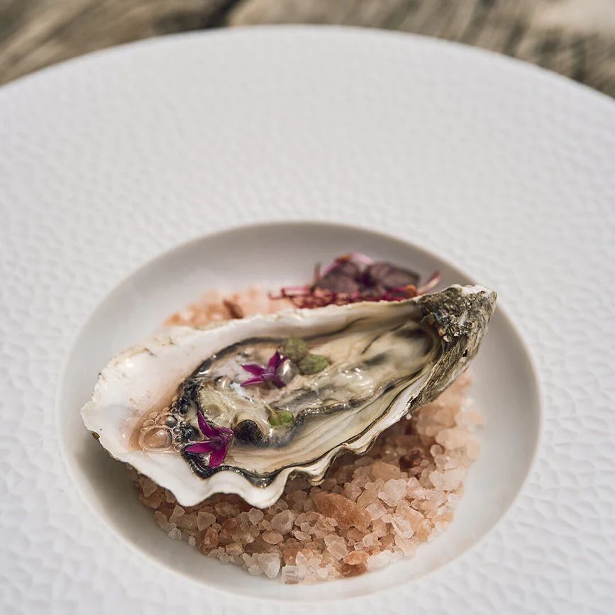 Тарелка для пасты Degrenne L Fragments 227847