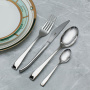 Набор столовых приборов Face Dublin DUB16C. фото 4