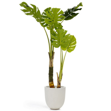 Искусственное растение La Forma Flower Monstera LF-081740