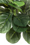 Искусственное растение KARE Deko Pflanze Fiddle Leaf 60723. фото 5