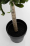 Искусственное растение KARE Deko Pflanze Olive Tree 54933. фото 6