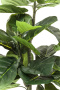 Искусственное растение KARE Deko Pflanze Fiddle Leaf 60723. фото 4