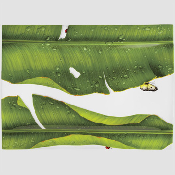 Блюдо сервировочное Taitù Freedom Portata Rettangolare 1-89