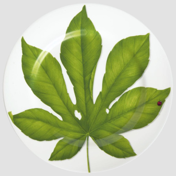 Блюдо сервировочное Taitù Freedom Portata Rotondo/Segnaposto 1-86-B