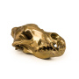 Статуэтка Seletti Wunderkrammer Wolf Skull 10892. фото 2