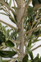 Искусственное растение KARE Deko Pflanze Olive Tree 54933. фото 4