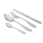 Набор столовых приборов Face Geneva GEN16C. фото 1