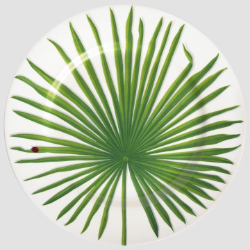 Блюдо сервировочное Taitù Freedom Portata Rotondo/Segnaposto 1-86-C