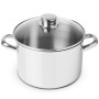 Кастрюля с крышкой Silampos Essential Glass Stockpot 63C122WG6618. фото 1