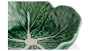 Салатник Bordallo Pinheiro Cabbage Small Bowl 65000614. фото 10