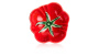 Салатник Bordallo Pinheiro Tomato Small Bowl 65022239. фото 2