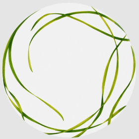 Тарелка обеденная Taitù Life In Green Piatto Piano 12-13-0