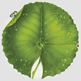 Блюдо сервировочное Taitù Freedom Portata Rotondo 1-899