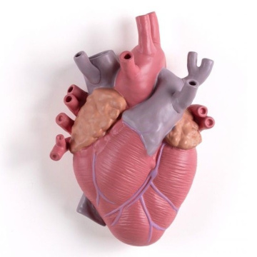 Ваза Seletti Love in Bloom Vase Color 09923