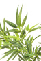 Искусственное растение KARE Deko Pflanze Bamboo Tree 64002. фото 2