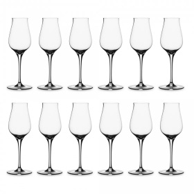 12 бокалов для дижестива Spiegelau Authentis Digestive Set 4408030