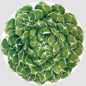 Блюдо Taitù Cactus Portata Rotondo/Segnaposto 5-5-6