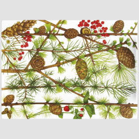 Блюдо сервировочное Taitù Montagna Portata Rettangolare 2-89