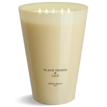 Ароматическая свеча Cerer&iacute;a Moll&aacute; 1899 Boutique Bulgarian Rose & Oud 3XL Scented Candle X5005