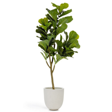 Искусственное растение La Forma Flower Ficus LF-081742