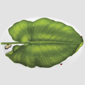 Блюдо сервировочное Taitù Freedom Portata Ovale 1-88