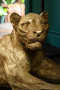 Фигурка KARE Deko Figur Lion Gold 51727. фото 10