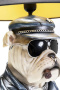 Настольная лампа KARE Tischleuchte Punk Dog 56406. фото 8