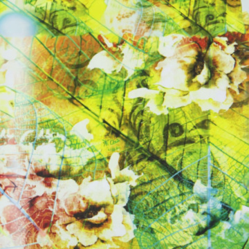 Постельное белье Matteo Bosio DG-KO 651 Biancheria da letto assortitto MBS/441013