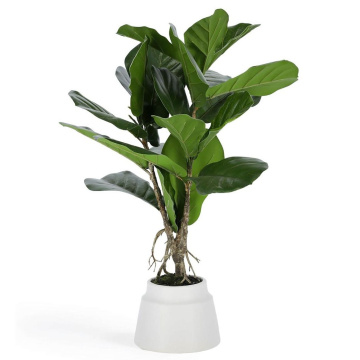 Искусственное растение La Forma Flower Lyrata LF-081744