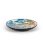 Блюдо Seletti Cosmic Diner Earth Europe Tray 10835. фото 3