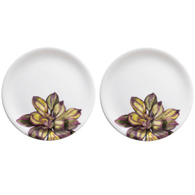 2 обеденные тарелки Nuova Cer Cactus Piatto piano 9120/2-2CAT