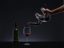 Декантер для вина RIEDEL Boa Decanter 2013/01. фото 7