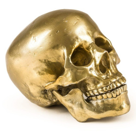 Фигурка Seletti Wunderkrammer Human Skull 10891